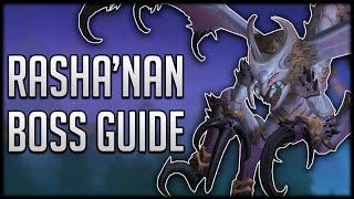 Rasha'nan Boss Guide - Heroic & Normal Nerub-ar Palace Raid Guide