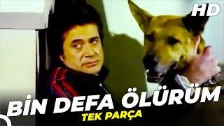 Bin Defa Ölürüm | Cüneyt Arkın Türk Filmi