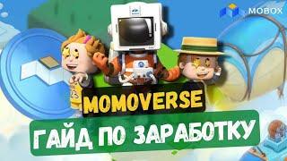 MOBOX MOMOVERSE GUIDE | A guide to making money in the MOBOX Metaverse