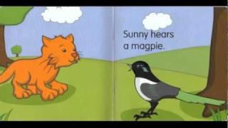 what can sunny hear youtube.mpg