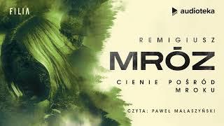 Cienie pośród mroku - audiobook | Remigiusz Mróz (czyta: Paweł Małaszyński)