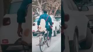 dog lover #funny