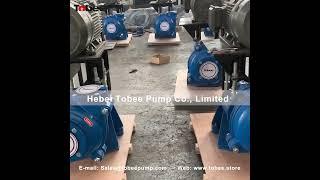 Tobee® China 4x3 inch AHR Horizontal Slurry Pump