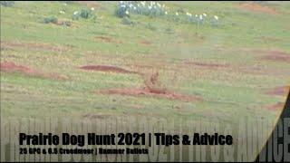 Prairie Dog Hunt 2021 | Tips & Advice | 25 GPC & 6.5 Creedmoor | Hammer Bullets