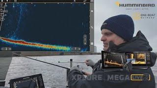 Uus Humminbird Mega Live 2 & Explore  - millised on esmamuljed ja emotsioonid - kas tasub osta?!