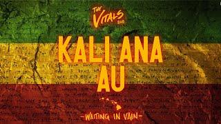 The Vitals 808 - Kali Ana Au (Waiting in Vain) (Audio)