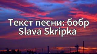 Текст песни: Slava Skripka - бобр (lyrics)