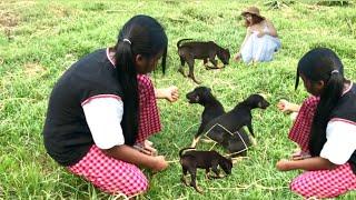 Cute girls play with Cute puppies|| Rural Cambodia life#pets