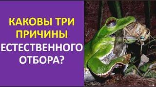 11. Каковы три причины естественного отбора?