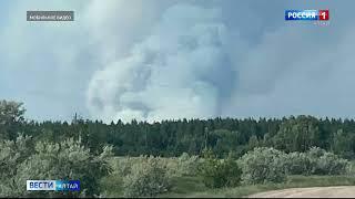 В Егорьевском районе снова горит лес