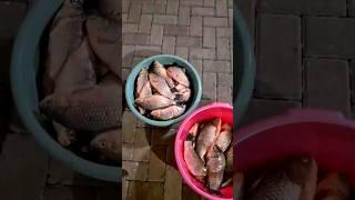 Рыбалка в Чечне и в Европе. Дагестан