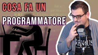 Cosa fa DAVVERO un PROGRAMMATORE?