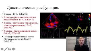 Лекция для ветврачей и студентов-ветеринаров "ЭХОКГ диагностика кардиомиопатий кошек" часть 3