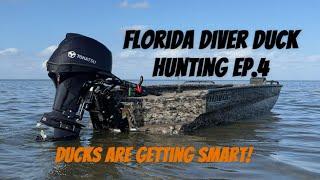 Florida Public Land Coastal Diver Hunting Ep. 4