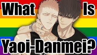 BL Anime Fans Have Lost The Narrative (AGAIN) | Explaining & Exploring "Yaoi-Danmei"