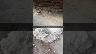 Rock shelter on the mountain #hiking #archaeology #nativeamerican #prehistoric #artifacts #geology