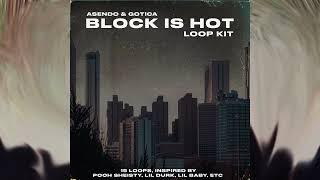 [FREE] LOOP KIT / SAMPLE PACK 2023 - BLOCK IS HOT (Street, Pooh Sheisty, Lil Baby, Lil Durk]