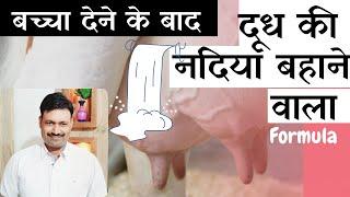 Gajab ke Cow ka Doodh Badhane ke Gharelu Nuskhe  Ramawat