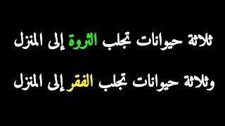 ثلاثة حيوانات تجلب المال في المنزل وثلاثة حيوانات تجلب الفقر - قوة الأحلام