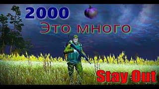 ⭐Stay Out ⭐Сталкер-Онлайн 2000 яблок это много !!!