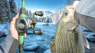 My BEST Winter Fishing Day EVER - Nonstop Action