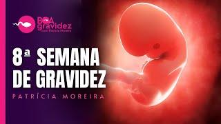 8 SEMANAS DE GRAVIDEZ - Gravidez Semana a Semana