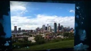 Calgary Real Estate-The Lavine Team