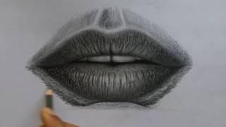 How to draw a hyper realistic lip