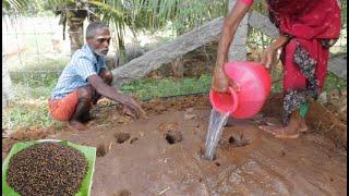 Eesal|HUNTING TERMITE and Cooking|Healthy Village Food|countryfoodcooking