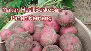 PONAKAN IKUT BERKEBUN  | Vlog Sastri Kesey