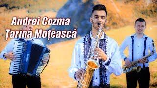 Andrei Cozma - Țarină Moțească