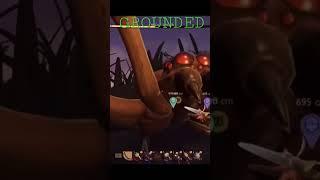 Grounded - 4 player co-op Adventure