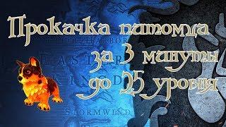 Прокачка питомца до 25 лвл за 3 минуты