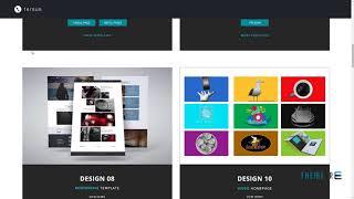 Tersus - Business Portfolio Parallax Muse Template        Noah Paden