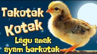 Tek kotek kotek 🪅 Lagu ayam berkotek  lagu anak anak Indonesia