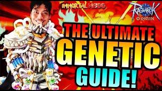 THE ULTIMATE GENETIC [PDMG] GUIDE!! - RAGNAROK ORIGIN