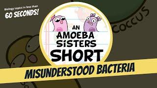 Misunderstood Bacteria - Amoeba Sisters #Shorts