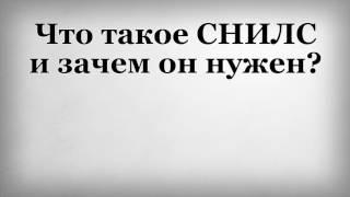 Что такое СНИЛС и зачем он нужен