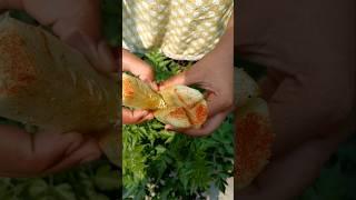 cucumber masala recipe #shorts