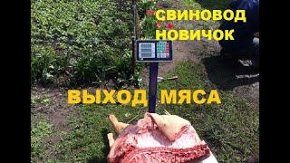 Выход мяса со свиньи-73%. Свиноводство. Свиньи.