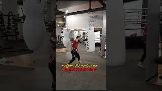 HARDCORE MMA ELBERT BOKOV