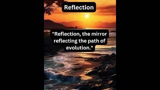 Reflection