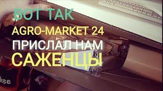 Посылка от AGRO-MARKET24. Обзор и распаковка.