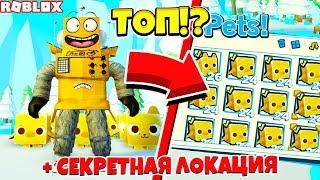 СИМУЛЯТОР ПИТОМЦЕВ 2 ОБНОВЛЕНИЕ КОТОРОЕ МЫ ЖДАЛИ! ВСЕ СЕКРЕТЫ ROBLOX PET SIMULATOR