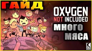 Oxygen Not Included подробный и понятный гайд по животноводству, автоматический питомник + варианты