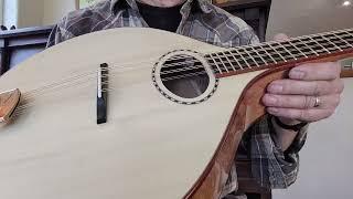 Adirondack Spruce Octave Mandolin / Mahogany body / Nyberg Instruments Video demo