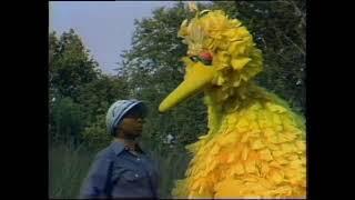 Sesame Street: 0959 Street Scenes- The gang goes camping