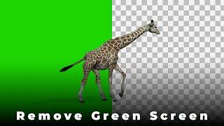 Quickly Remove Green Screen with Shotcut!