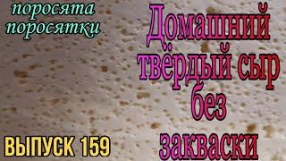 Твёрдый сыр без закваски. Домашний твёрдый сыр. Вкусный нежный салат.