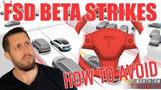 How To Avoid Tesla FSD Beta Strikes